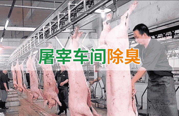 屠宰場臭氣影響周邊環(huán)境？解決辦法在這里-1