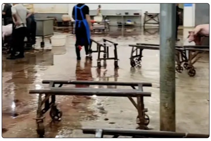 屠宰工廠惡臭影響周邊，使用除臭劑有什么注意要點？.jpg