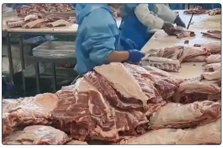 屠宰工廠惡臭影響周邊，使用除臭劑有什么注意要點？.jpg