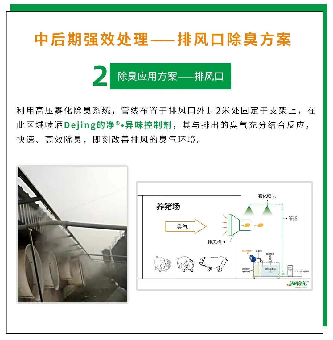Dejing的凈養(yǎng)殖場除臭劑如何迅速清理養(yǎng)殖場臭味？.jpg