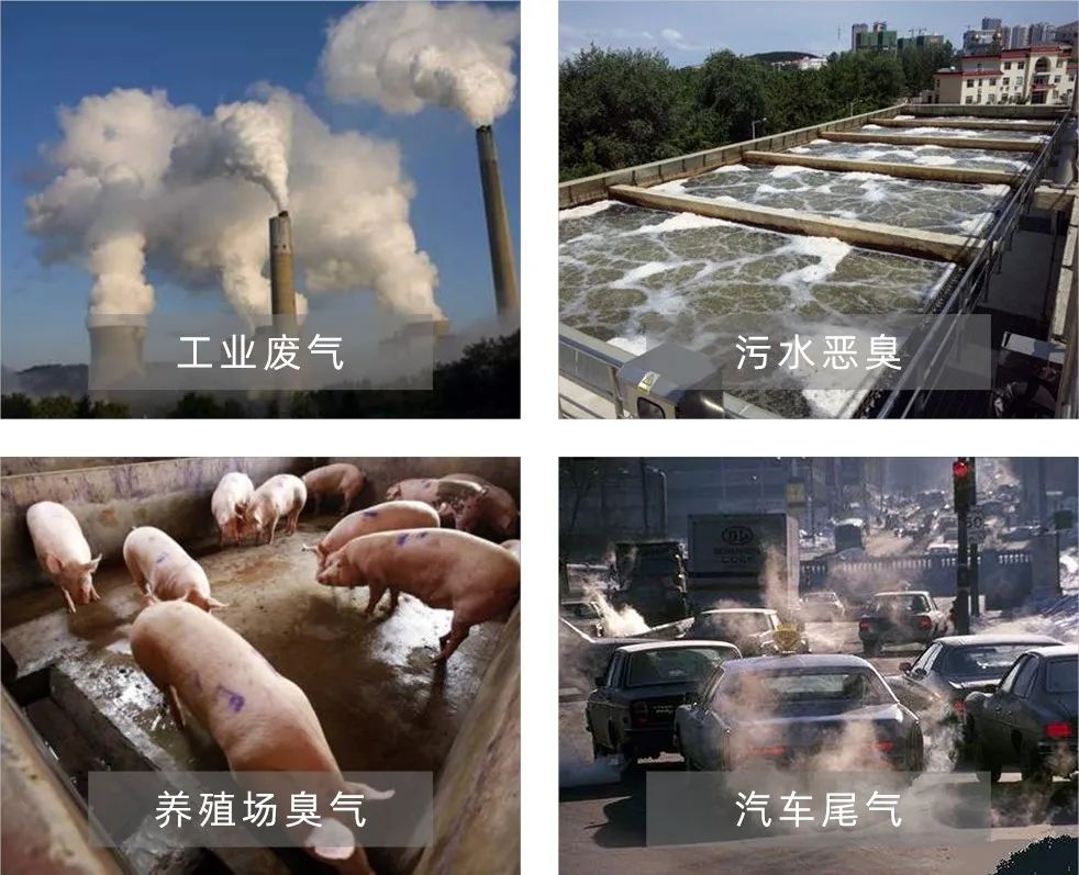 Dejing的凈工業(yè)除臭劑——解決臭味困擾的源頭！.jpg