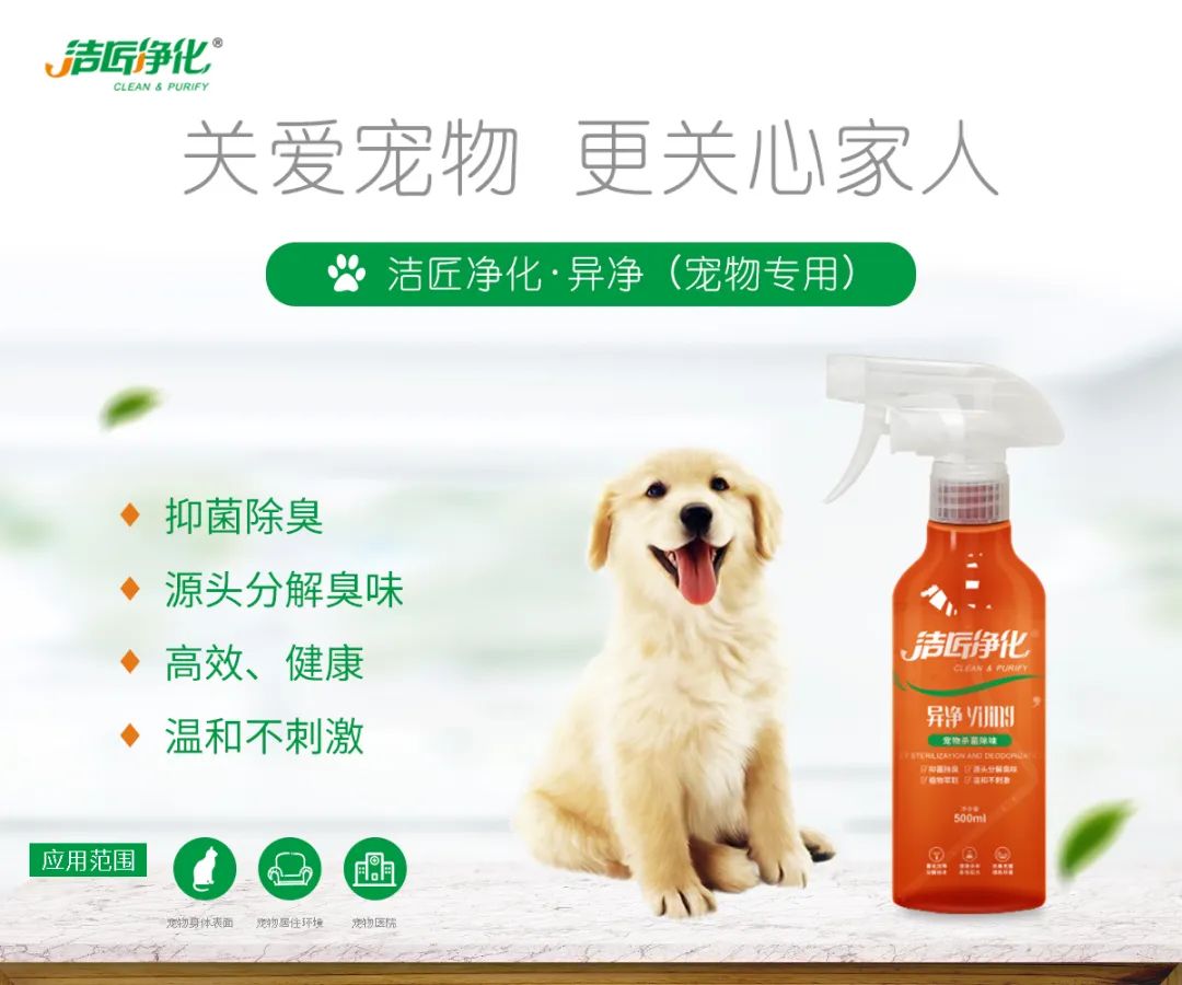 寵物氣味彌漫整個(gè)屋子，潔匠凈化教您如何除味