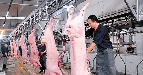 屠宰場(chǎng)臭氣影響周邊環(huán)境？解決辦法在這里.jpg